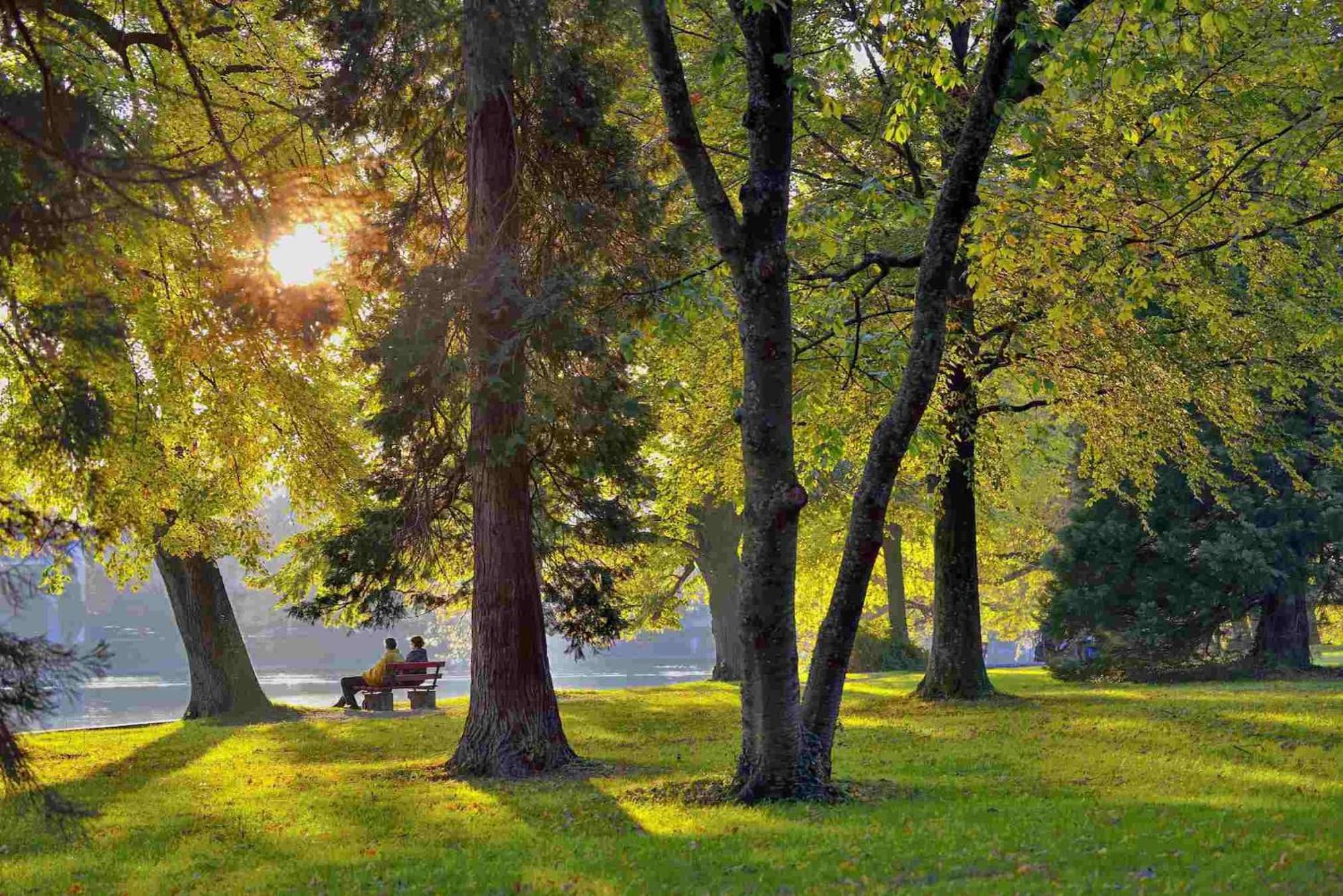 Ferienwohnung Luxus Am Toskanapark Lindau  Dış mekan fotoğraf